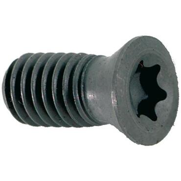 Torque screw spare part type 2969